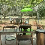 Apartman Nena 3* Ližnjan
