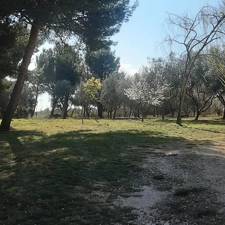 Nena 3* Apartment *