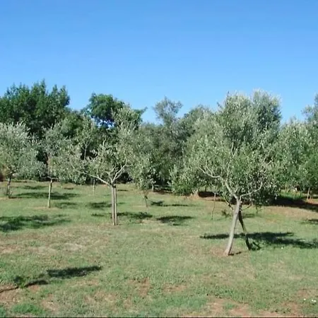 Nena 3* Daire Ližnjan