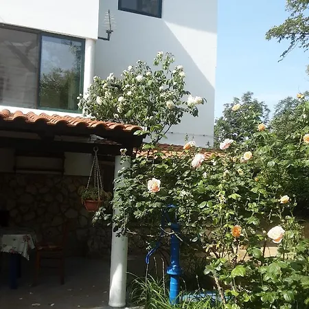 Nena 3* Apartamento Ližnjan