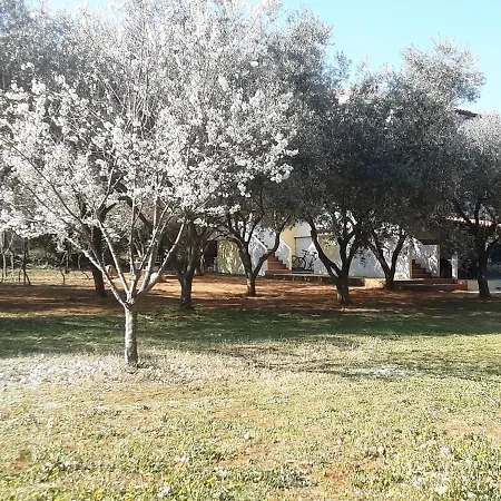 Nena With Free Outdoor Gym *