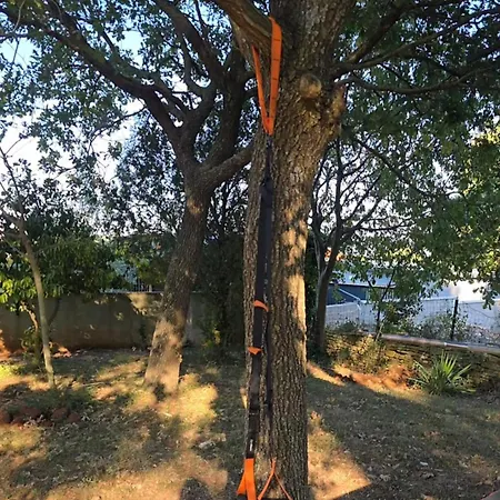 Nena With Free Outdoor Gym