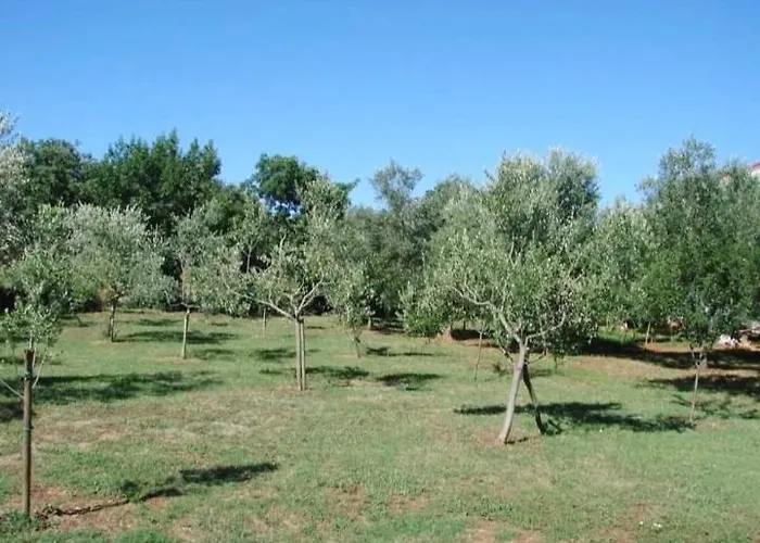 Nena 3* 아파트 Ližnjan