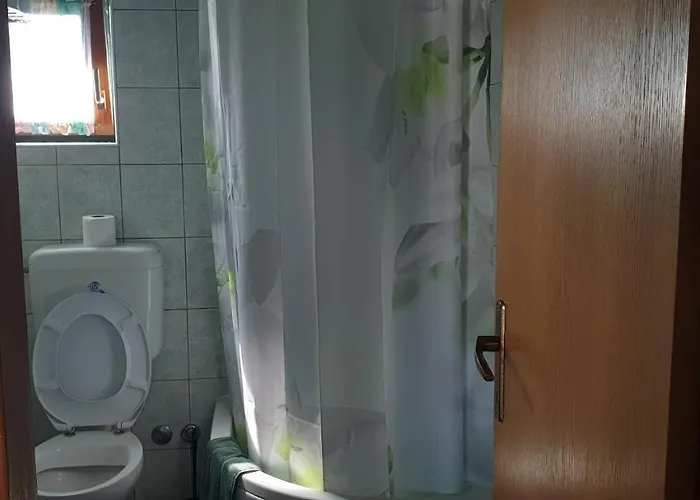 아파트 Nena 3* Ližnjan