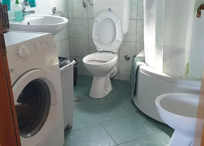 Nena 3* 아파트 Ližnjan