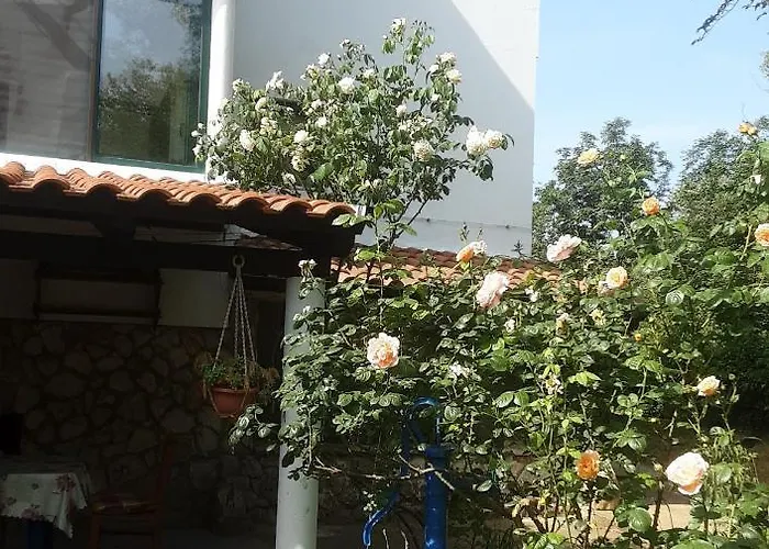 Nena 3* 아파트 Ližnjan